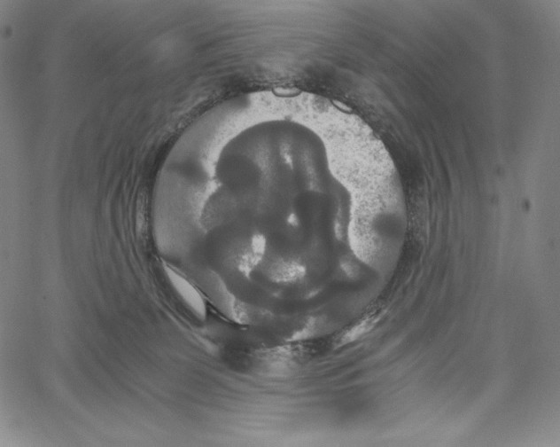 X0000062620131200601181704