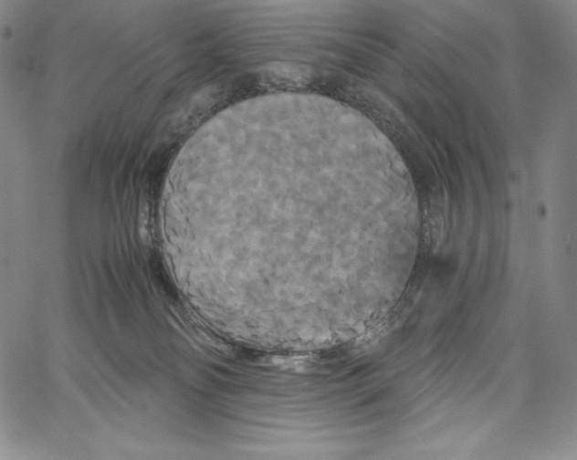 X0000062620134200601181704