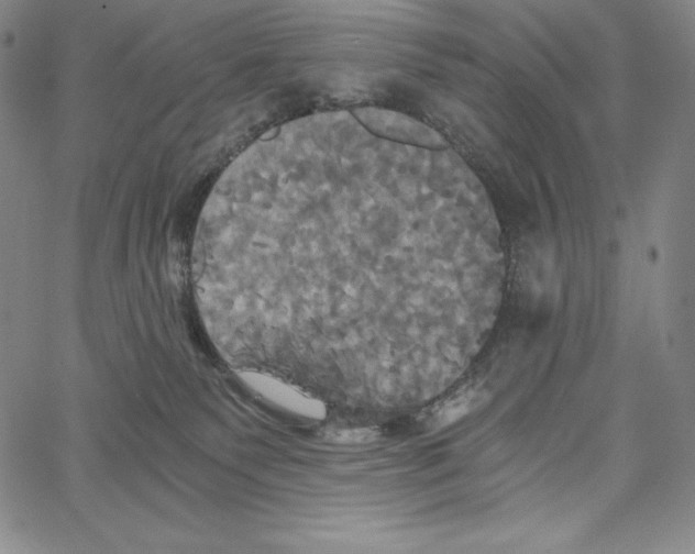 X0000062620135200601181704