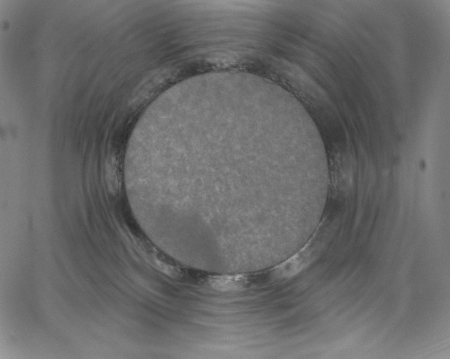 X0000062620136200601181704