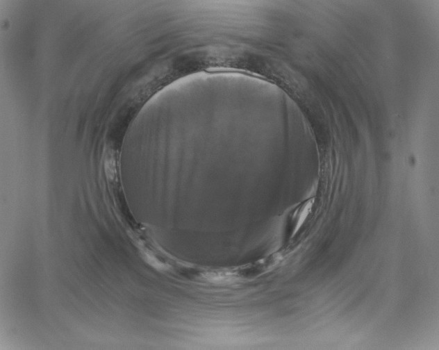 X0000062620137200601181704