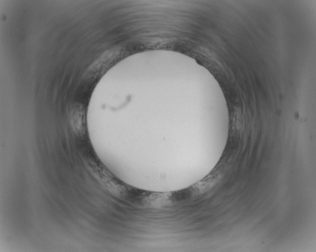 X0000062620138200601181704