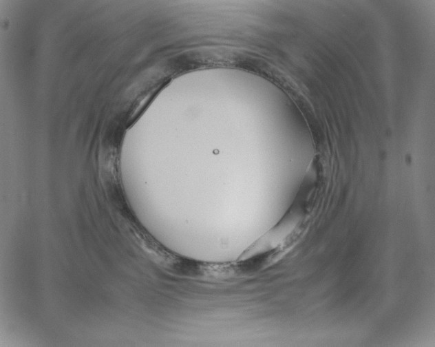 X0000062620141200601181704