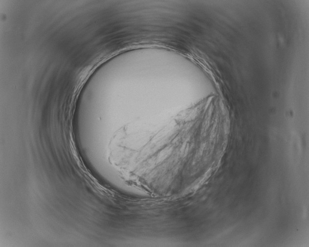 X0000062620145200601181703