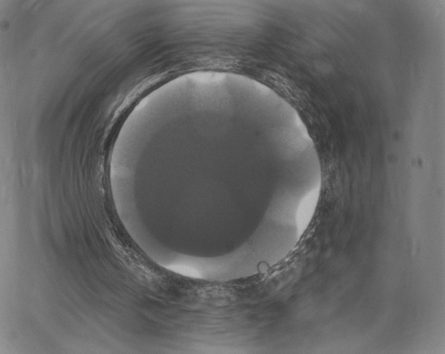 X0000062620146200601181703