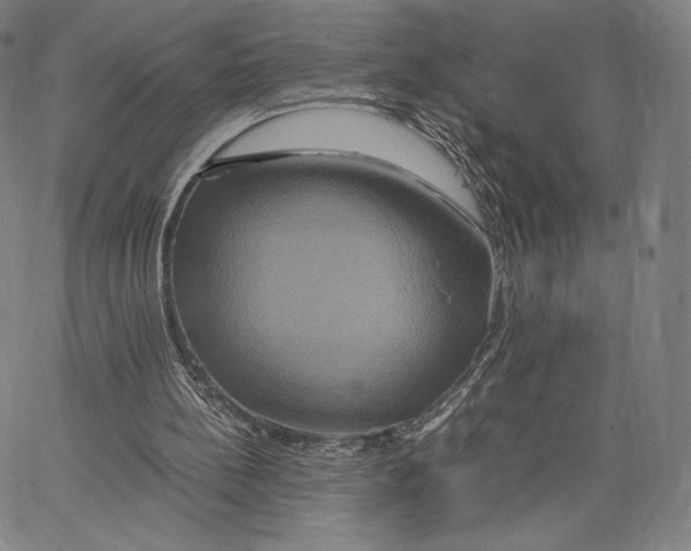 X0000062620148200601181703