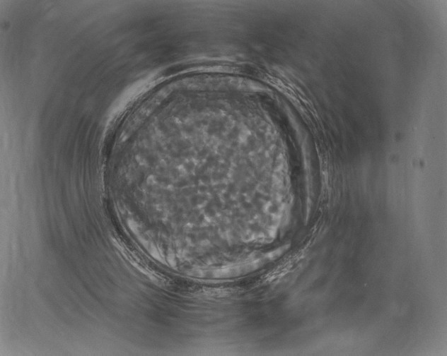 X0000062620149200601181703