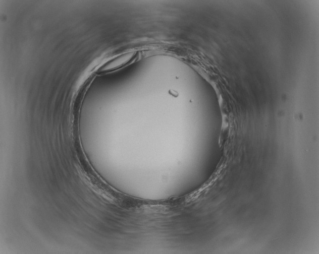 X0000062620150200601181703