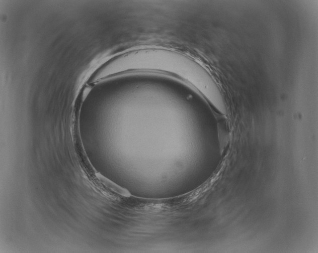 X0000062620152200601181703