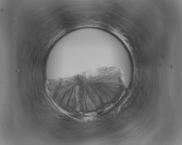 X0000062620153200601181703