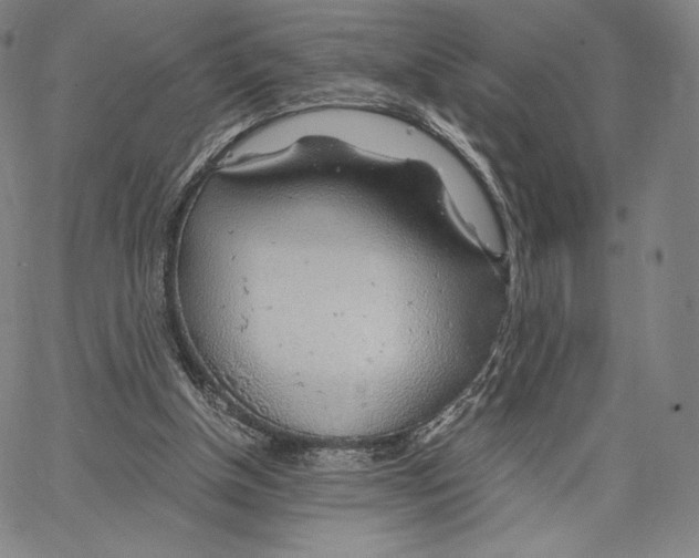 X0000062620154200601181703