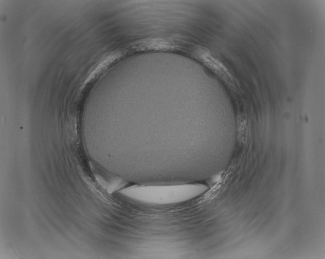 X0000062620158200601181703