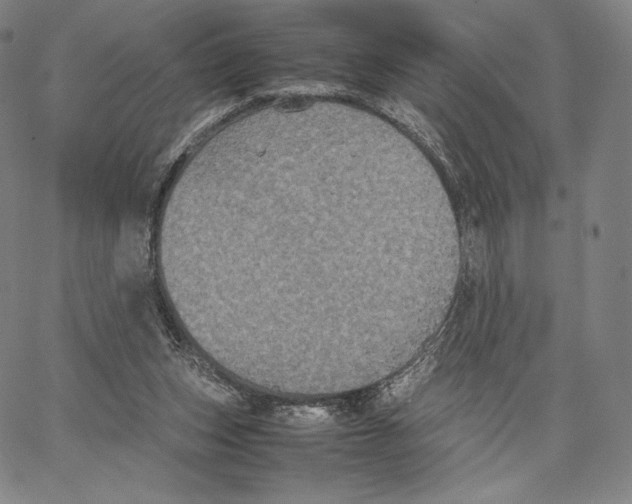 X0000062620159200601181703