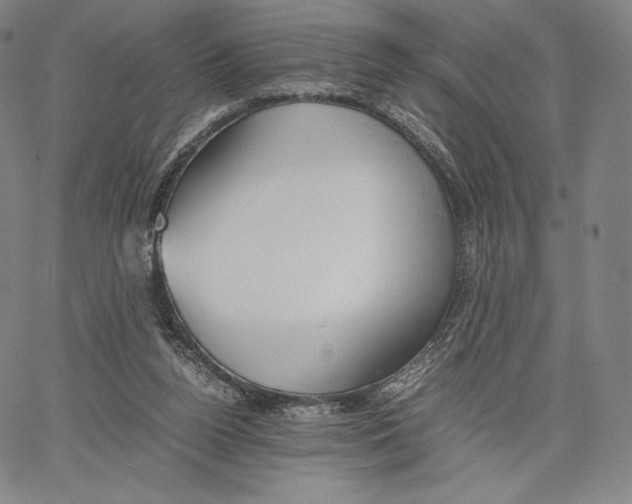 X0000062620160200601181703