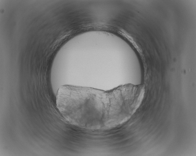 X0000062620161200601181703