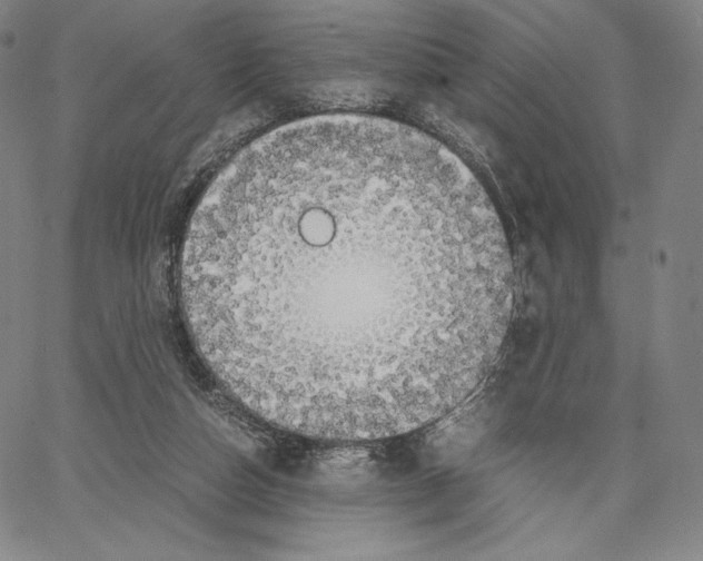 X0000062620162200601181703