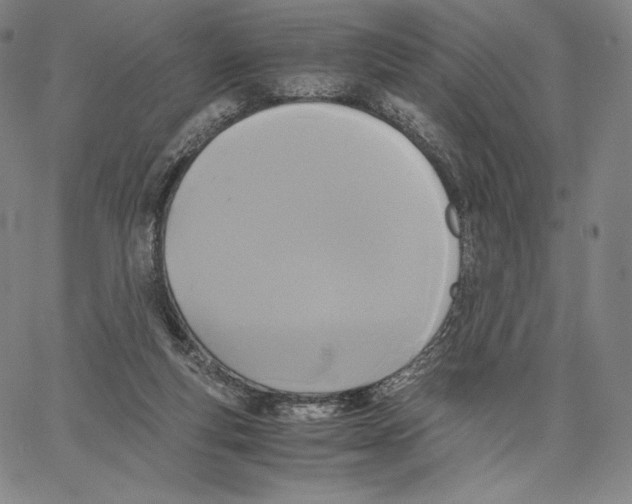 X0000062620163200601181703