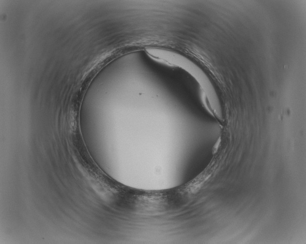 X0000062620164200601181703