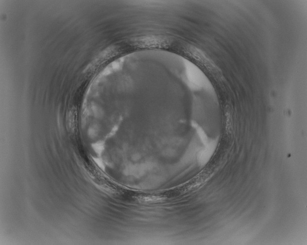 X0000062620165200601181703