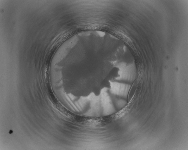 X0000062620166200601181703