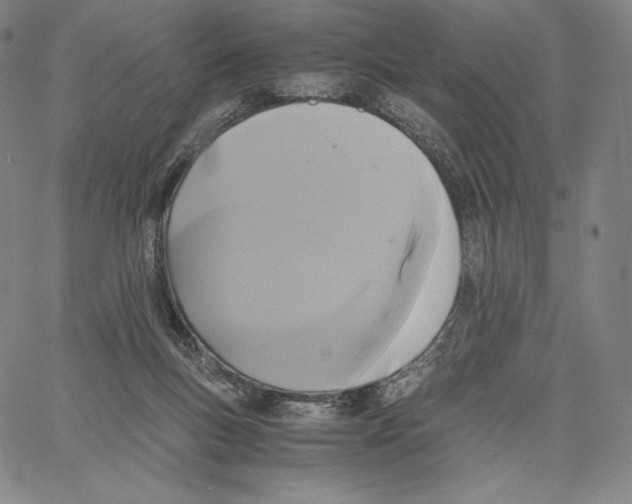 X0000062620167200601181703