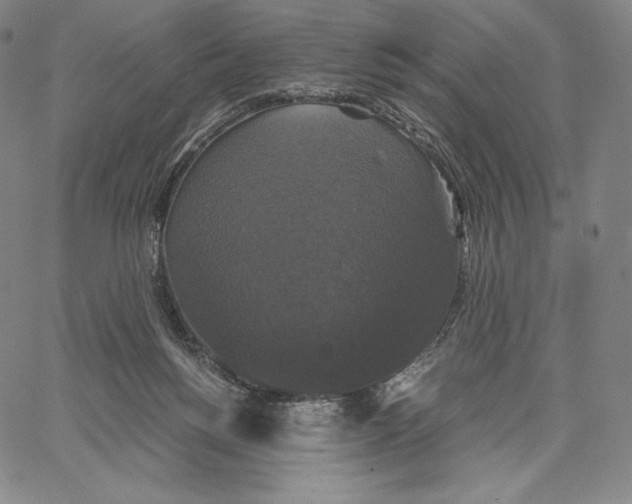 X0000062620168200601181703