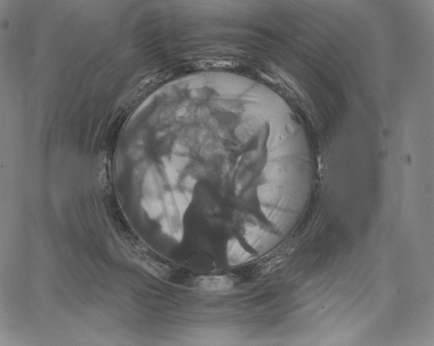 X0000062620169200601181703