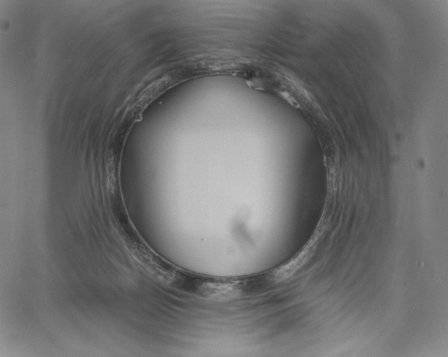 X0000062620170200601181703