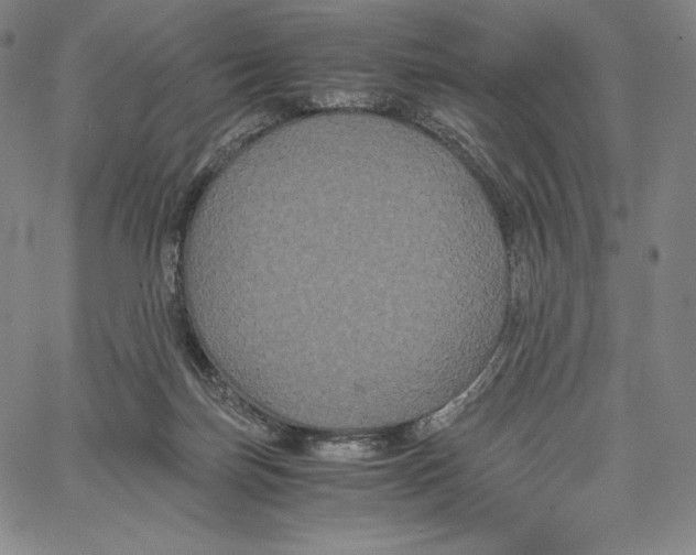 X0000062620171200601181703