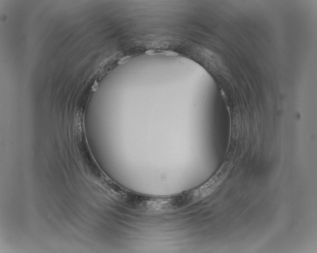 X0000062620172200601181704