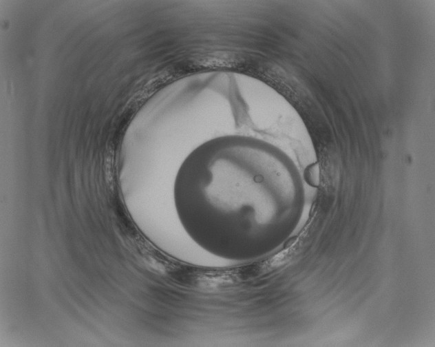 X0000062620175200601181704