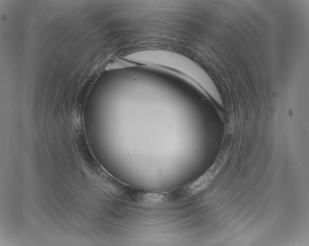 X0000062620176200601181704