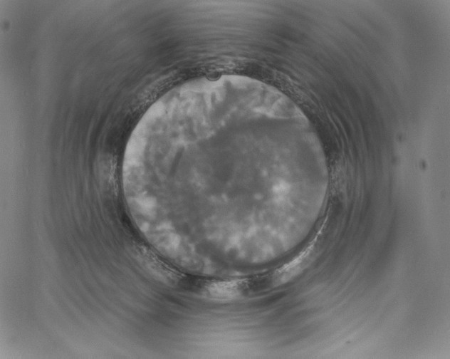 X0000062620178200601181704