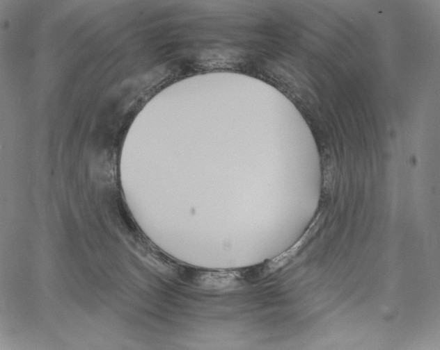 X0000062620179200601181704