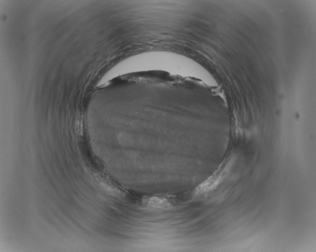 X0000062620180200601181704