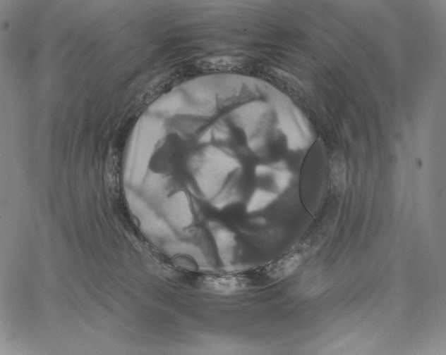 X0000062620181200601181704