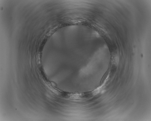 X0000062620182200601181704