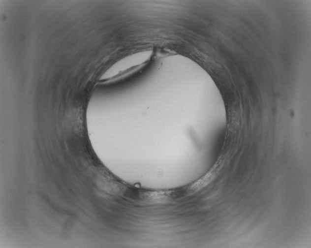 X0000062620184200601181704