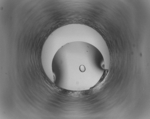 X0000062620186200601181704