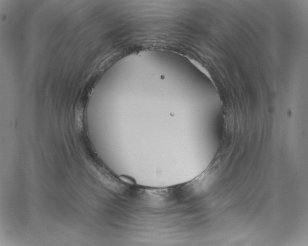 X0000062620188200601181704