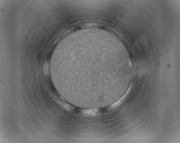 X0000062620191200601181704