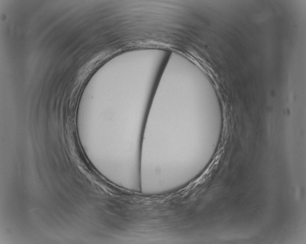 X0000062620193200601181703