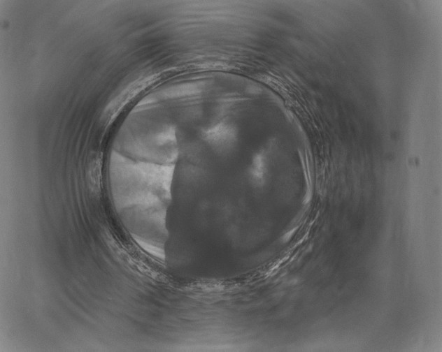 X0000062620194200601181703