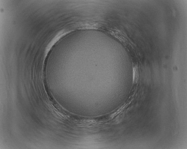 X0000062620195200601181703