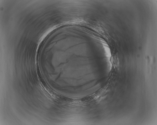 X0000062620196200601181703