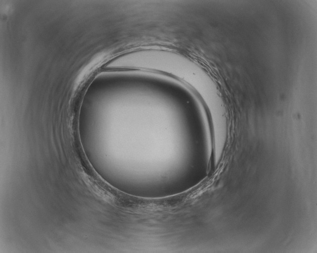 X0000062620197200601181703