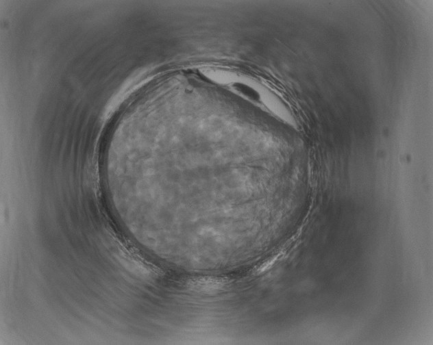 X0000062620198200601181703