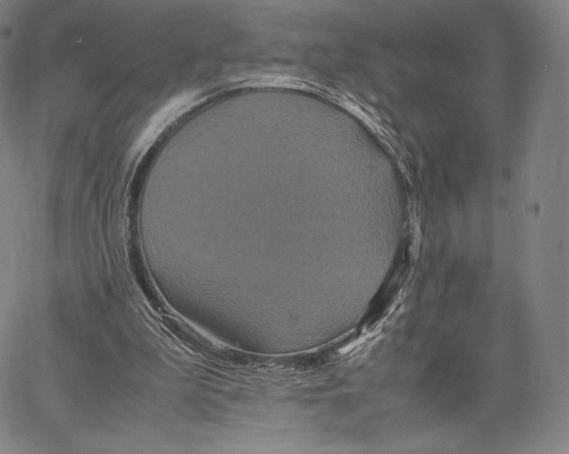 X0000062620199200601181703