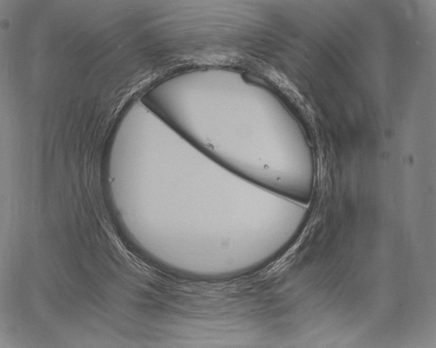 X0000062620201200601181703