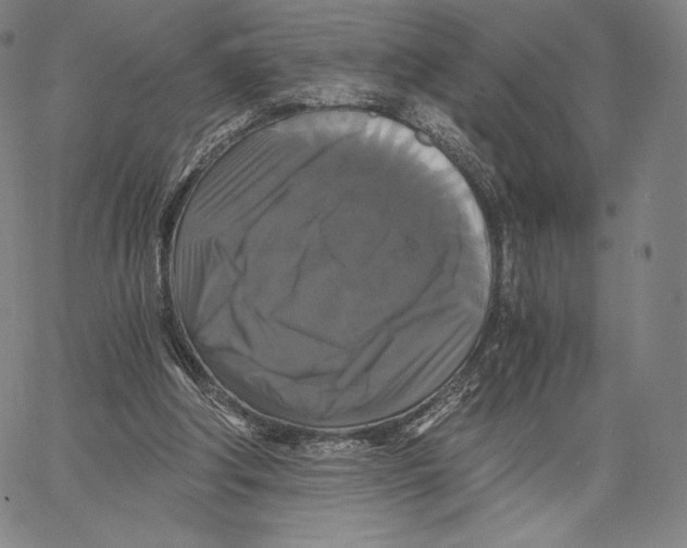 X0000062620202200601181703